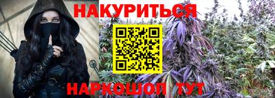 Альфа ПВП Ярославль